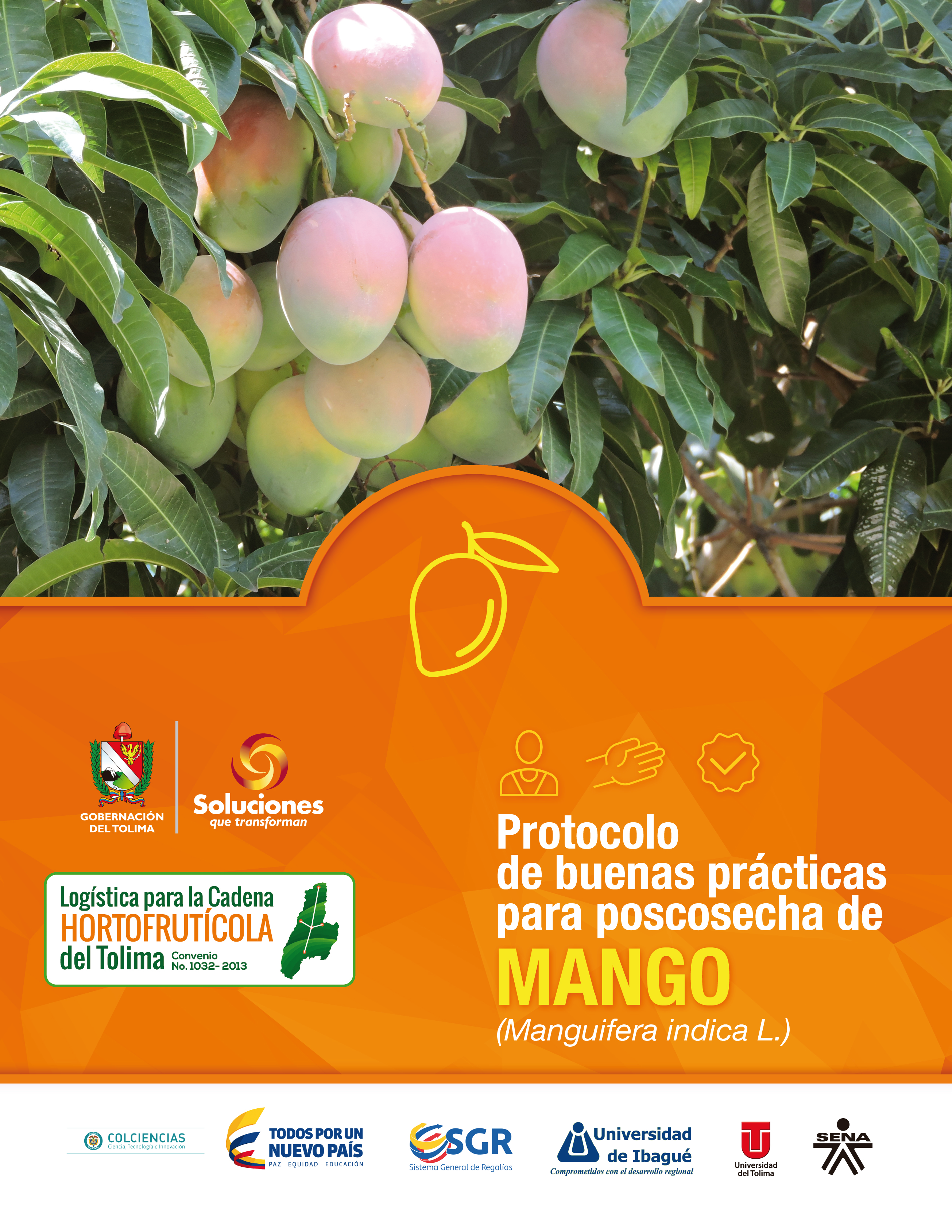 Cover of Protocolo de buenas prácticas para poscosechaa de mango 